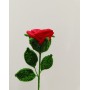 Rose Rosse Fatte a Mano