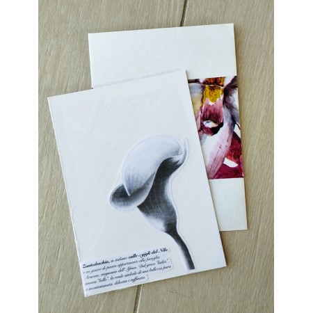 Biglietto auguri Calla