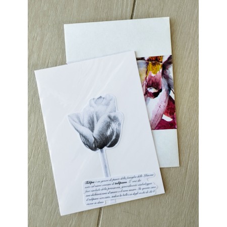 Biglietto auguri Tulipano macchiato