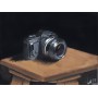 Quadro Nikon FG