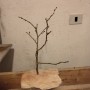 Alberello porta bijoux